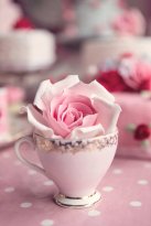 Fragrance & Art Sample Box Sweetness